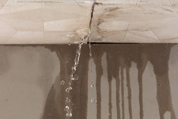 Professional Water Damage Inspection technician working in Cedar Hill, TX